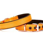 Yumuşak Doku Köpek Boyun Tasması 1,5/35 cm Tcu