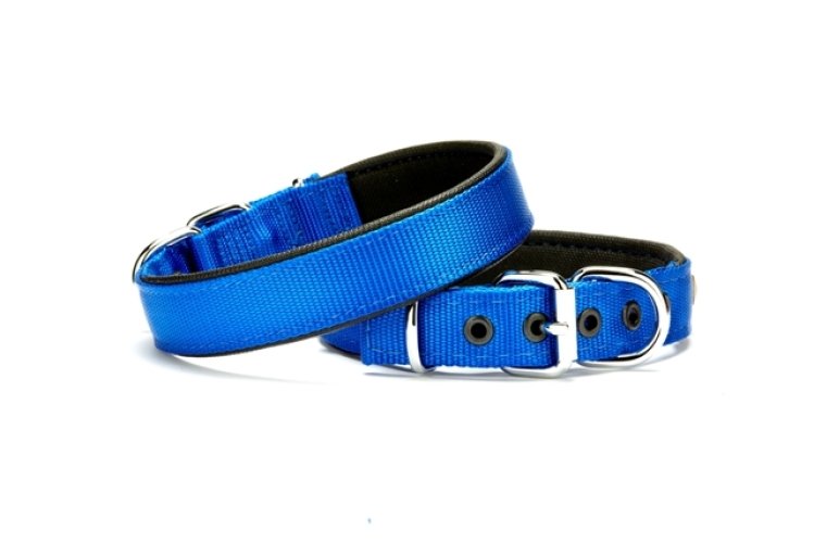dsbt-2510-l-mavi.jpg Softlu Dokuma Köpek Tasması 2,5 cm x 50 cm Mavi - Görsel 1