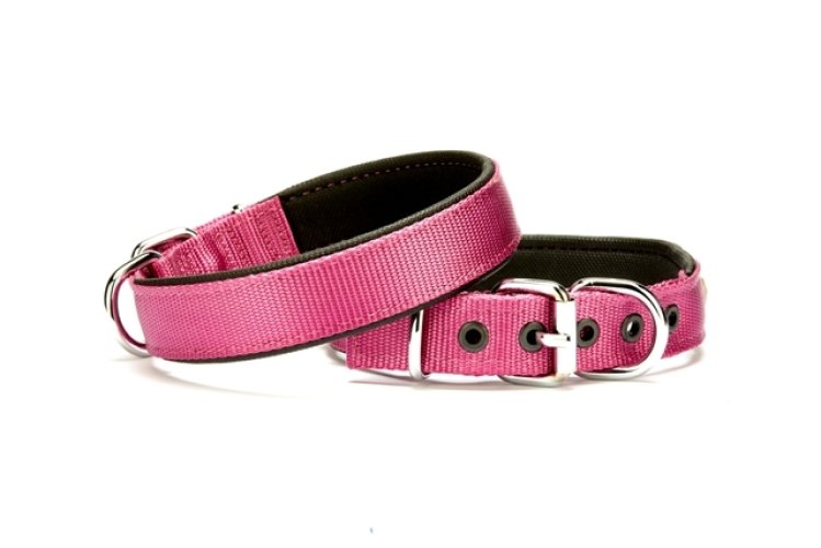 dsbt-2510-l-mor.jpg Softlu Dokuma Köpek Tasması 2,5 cm x 50 cm Mor - Görsel 1