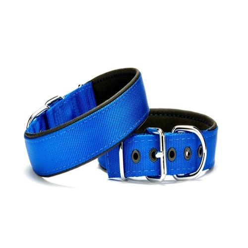 dsbt-3010-l-mavi.jpg Köpek Tasması Softlu 3 cm x 65 cm Mavi - Görsel 1