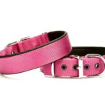 Köpek Tasması Softlu 3 cm x 65 cm Mor