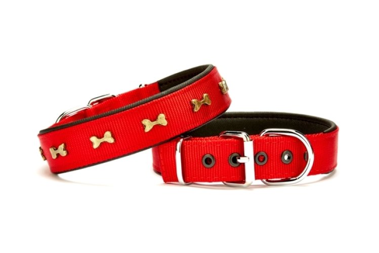 dsbt-3062-l-kirmizi.jpg Softlu Metal Kemik Desenli Köpek Tasma 3 cm x 65 cm Kırmızı - Görsel 1