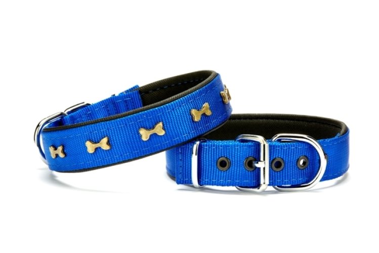 dsbt-3062-l-mavi.jpg Kemik Metal Süslü Köpek Tasması 3*55 cm Medium Mavi - Görsel 1