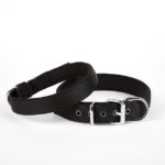 Dokuma Köpek Boyun Tasması 45-52 cm Siyah