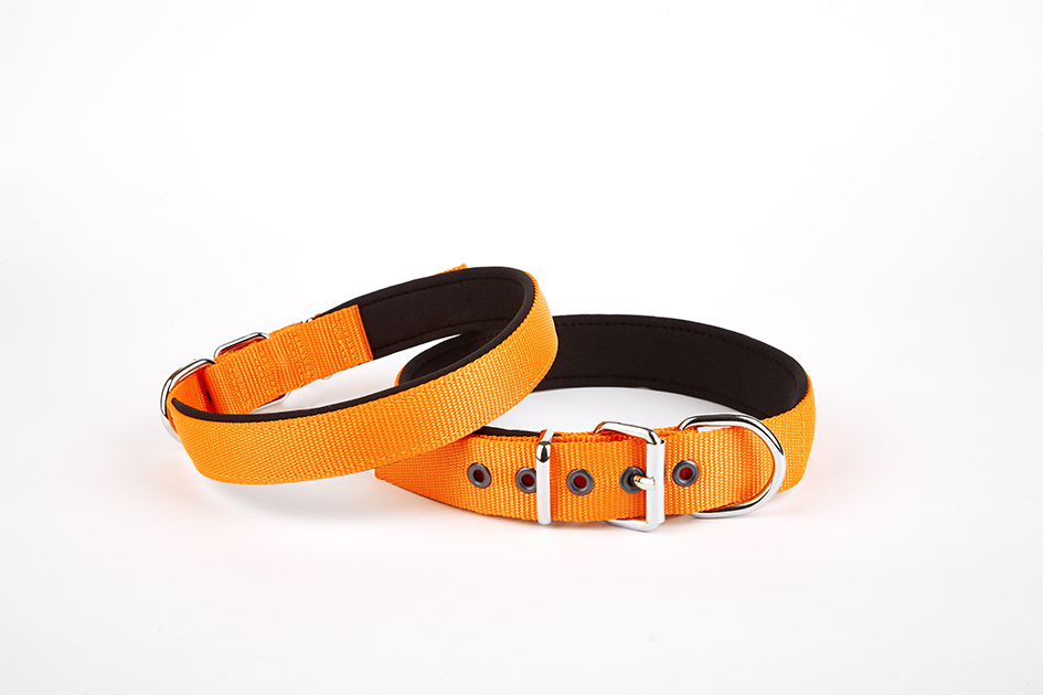 dsbt2510l-orangejpg.jpg Softlu Dokuma Köpek Tasması 2,5 cm x 50 cm Tcu - Görsel 1