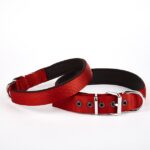 Dokuma Köpek Boyun Tasması 45-52 cm Kırmızı