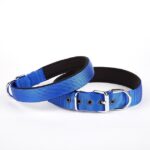 Dokuma Köpek Boyun Tasması 45-52 cm Mavi