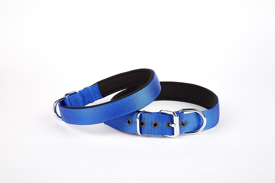 dsbt2510l-royalblue.jpg Dokuma Köpek Boyun Tasması 45-52 cm Mavi - Görsel 1