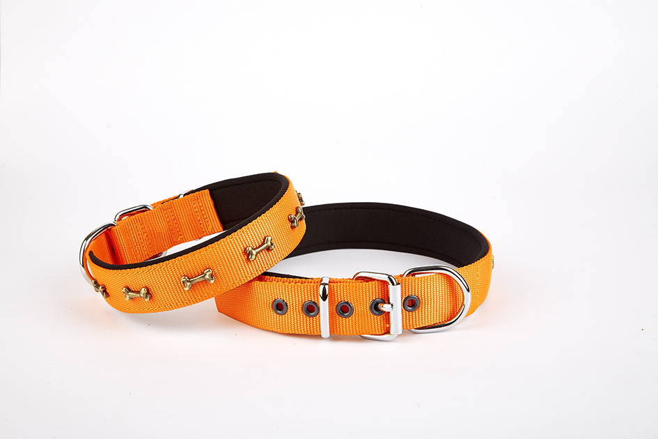dsbt2562m-orangejpg.jpg Softlu Kemik Desenli Köpek Tasması 2 cm x 45 cm Tcu - Görsel 1
