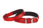 Seri Dokuma Köpek Boyun Tasması 5x50-60cm Kırmızı