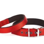 Seri Dokuma Köpek Boyun Tasması 4x57-65cm Kırmızı