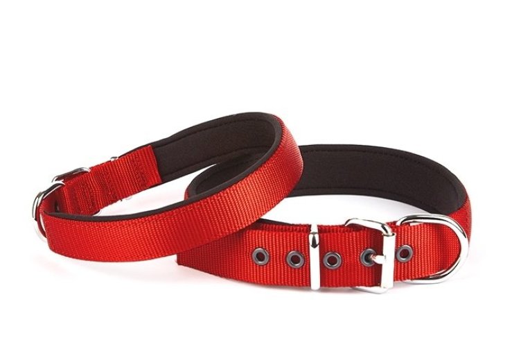 dsbt3010l-red-jpg694.jpgnew.jpg Seri Dokuma Köpek Boyun Tasması 5x50-60cm Kırmızı - Görsel 1