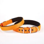 Softlu Köpek Boyun Tasması 3 cm x 55 cm Tcu