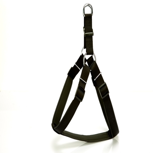 dsgt-l-siyah.jpg Köpek Bel Tasması 70cm Large Siyah - Görsel 1