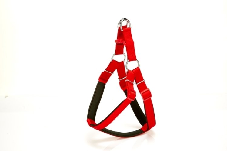 dsgt-xl-kirmizi.jpg Köpek Bel Tasması 85cm X-Large Kırmızı - Görsel 1