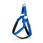 Köpek Bel Tasması 85 cm Mavi
