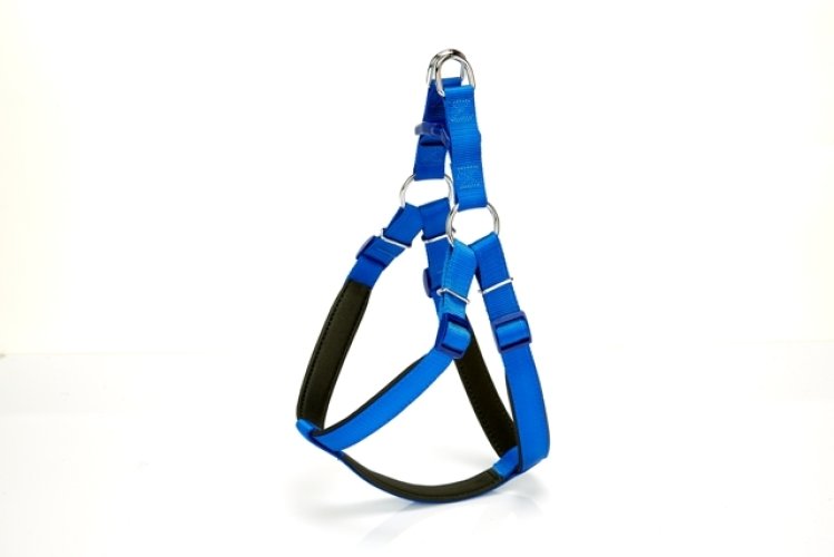 dsgt-xl-mavi.jpg Köpek Bel Tasması 85 cm Mavi - Görsel 1