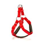 Köpek Göğüs Tasması 35cm XSmall