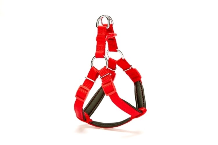 dsgt-xs-kirmizi.jpg Köpek Göğüs Tasması 45cm Small - Görsel 1