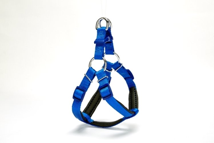 dsgt-xs-mavi.jpg Köpek Göğüs Tasması 45cm Small - Görsel 1
