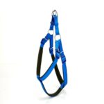Köpek Bel Tasması 95cm XX-Large Mavi