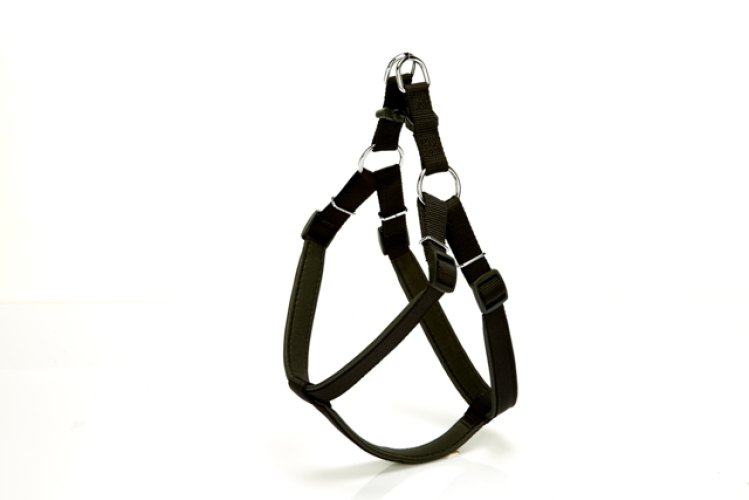 dsgt-xxl-siyah.jpg Köpek Bel Tasması 95cm XX-Large Siyah - Görsel 1