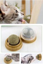 Duvara Yapışan Dönen Kedi Nanesi Cat Oyun Topu Doğal Kedi Oyuncağı - Görsel 3