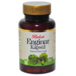 Enginar 60
