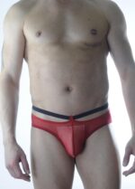 Erkek Kırmızı Tül Fantezi Slip İç Çamaşırı - Görsel 2