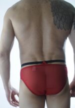 Erkek Kırmızı Tül Fantezi Slip İç Çamaşırı - Görsel 3