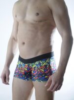 Erkek Renkli Desenli Boxer