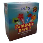 Fantastik Dörtlü sel Yaz Çayı 45 Süzen Poşet - Görsel 4