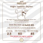 Köpek Bel Tasması 3cm-75 x 85 cm 3X-Large Tcu - Görsel 3