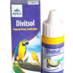 Güvercin - Apex Divitsol  ( İçin)