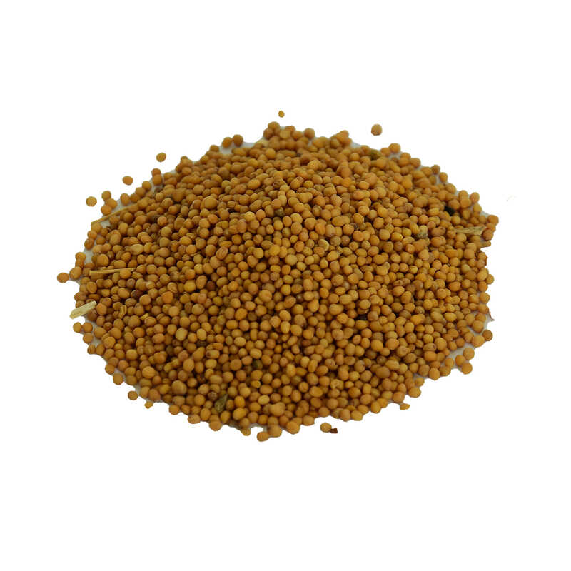 hardal-tohumu-tane-dogal-sari-100-gr-paket-lokmanavm-34545-10-b.jpg Hardal Tohumu Tane Doğal Sarı 100 Gr Paket - Görsel 1
