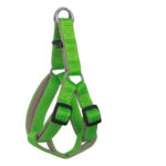 Gezdirme Kayışlı Dokuma Köpek Göğüs Tasma Seti 52*73-110 cm Neon Yeşil - Görsel 3