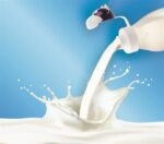 İnek Tasarımlı Sevimli Cam Suluk - Süt Şişesi 1000 ML - Görsel 4