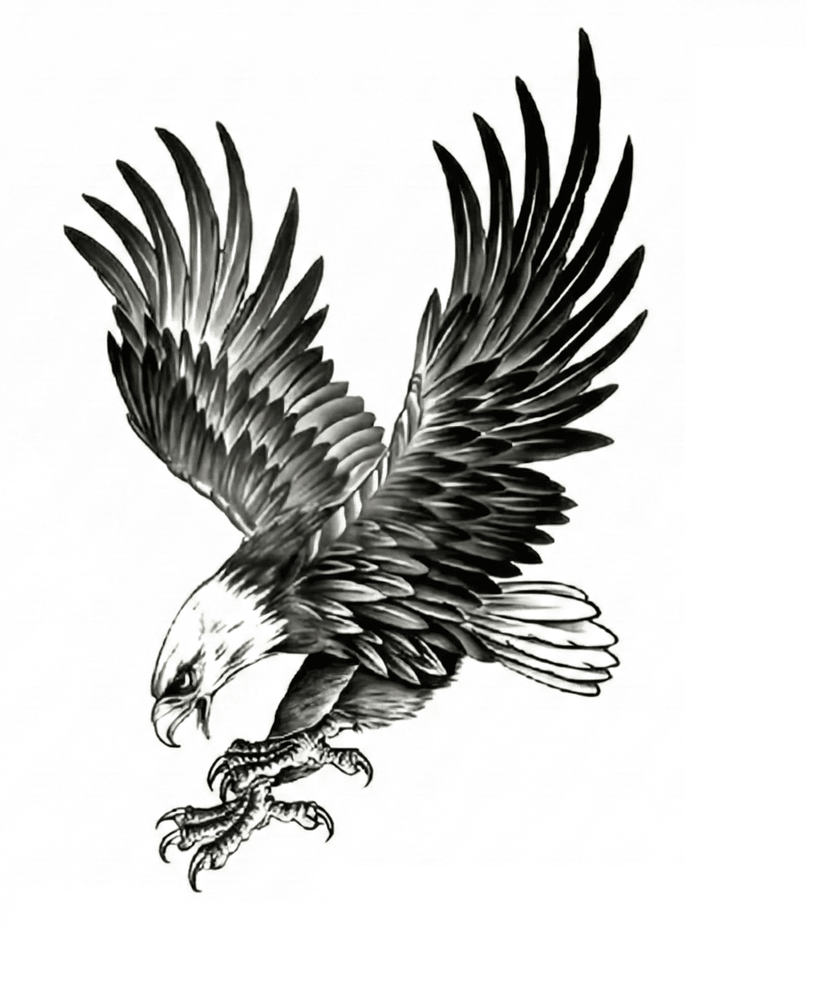 kartal-gecici-dovme-sablonu-buyuk-boy-resim-7158.png Kartal Geçici Dövme Şablonu Büyük Boy - Görsel 1