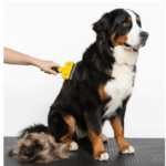 Kedi & Köpekler İçin Tüy Alıcı 7 cm