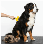 Kedi & Köpekler İçin Tüy Alıcı 7 cm - Görsel 3