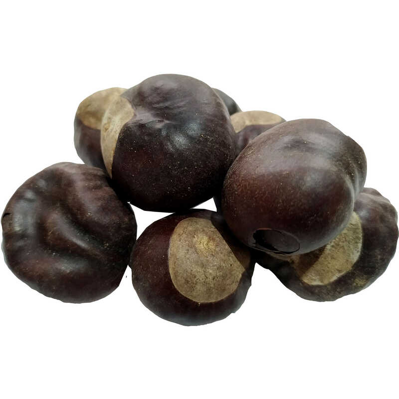 kestanesi-meyvesi-dogal-100-gr-paket-lokmanavm-29249-99-b.jpg At Kestanesi Meyvesi Doğal 100 Gr Paket - Görsel 1