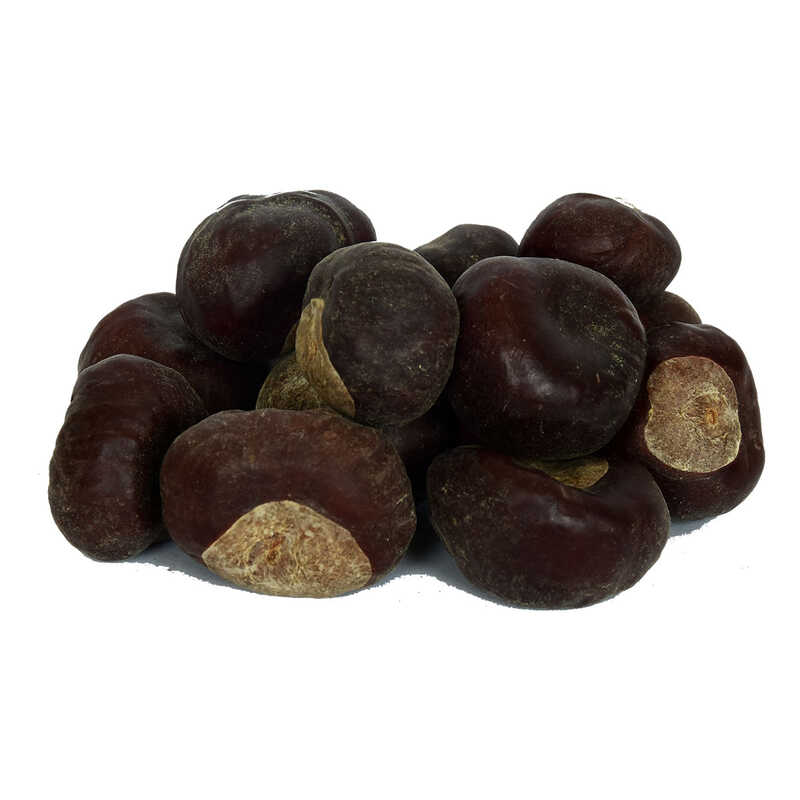 kestanesi-meyvesi-dogal-1000-gr-paket-dogan-30920-10-b.jpg At Kestanesi Meyvesi Doğal 1000 Gr Paket - Görsel 1