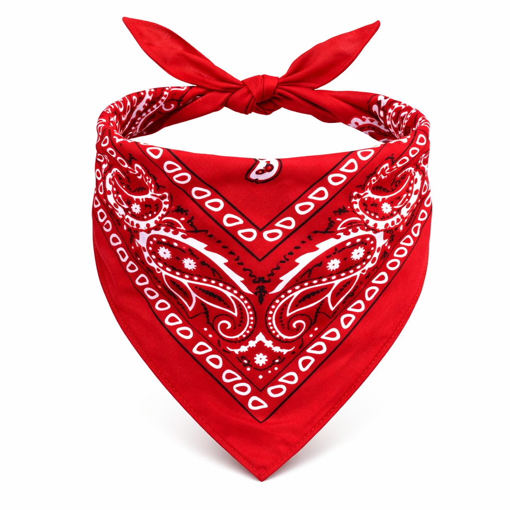 kirmizi-kovboy-fulari-cocuk-bandana-western-desenli-boyun-fulari-resim-5368.jpg Kırmızı Kovboy Fuları Çuk Bandana Western Desenli Boyun Fuları - Görsel 1
