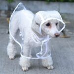 Köpek Yağmurluğu -Sarı - (Small) - Görsel 2