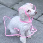 Köpek Yağmurluğu -Sarı - (Small) - Görsel 3