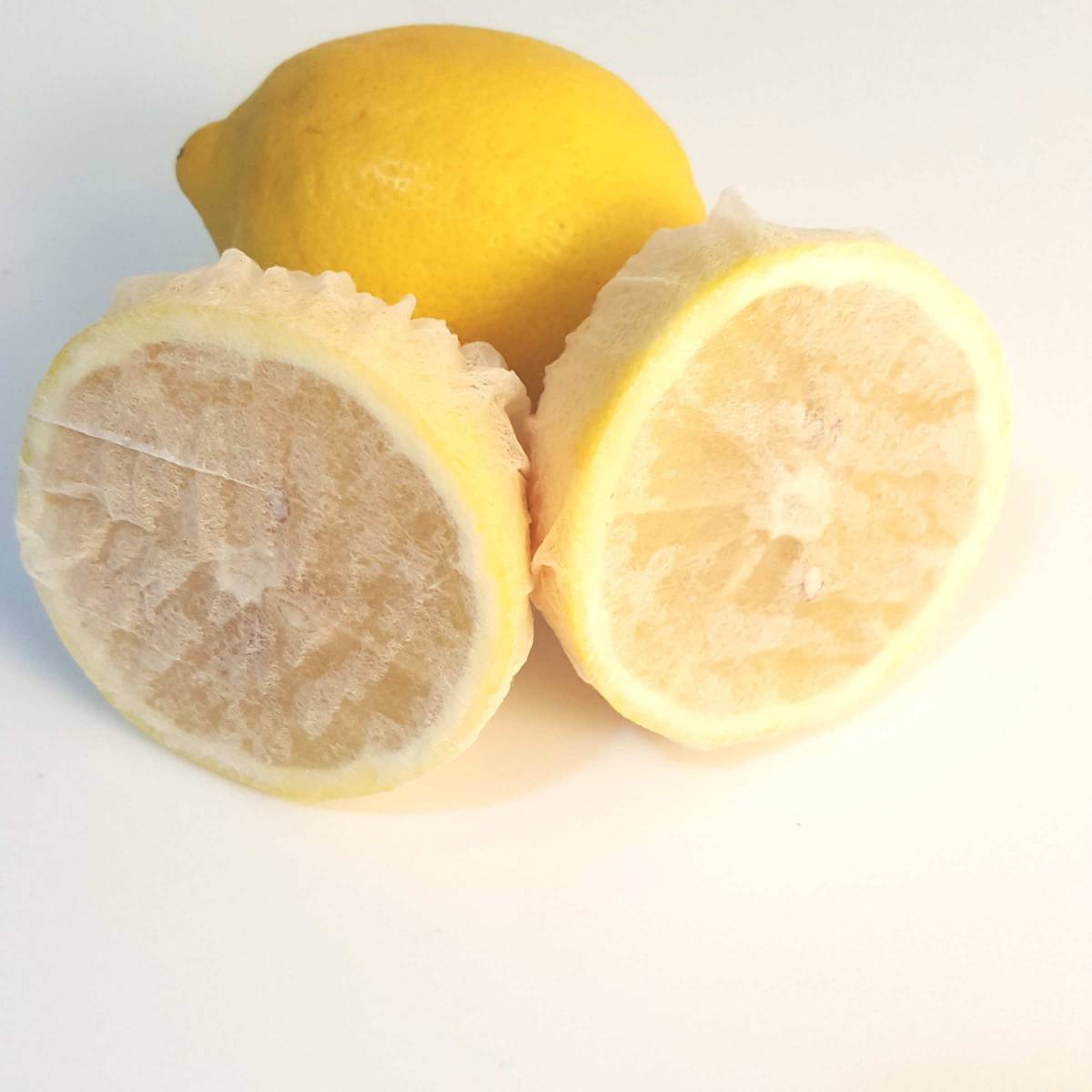 limon-bone-2468-1.jpg Limon Bonesi / 100 Adet / Çayı Bonesi - Görsel 1