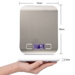 Lüx Dijital Mutfak Terazisi 5 Kg 1 Gr Hassas Paslanmaz Çelik + Pil - Görsel 2