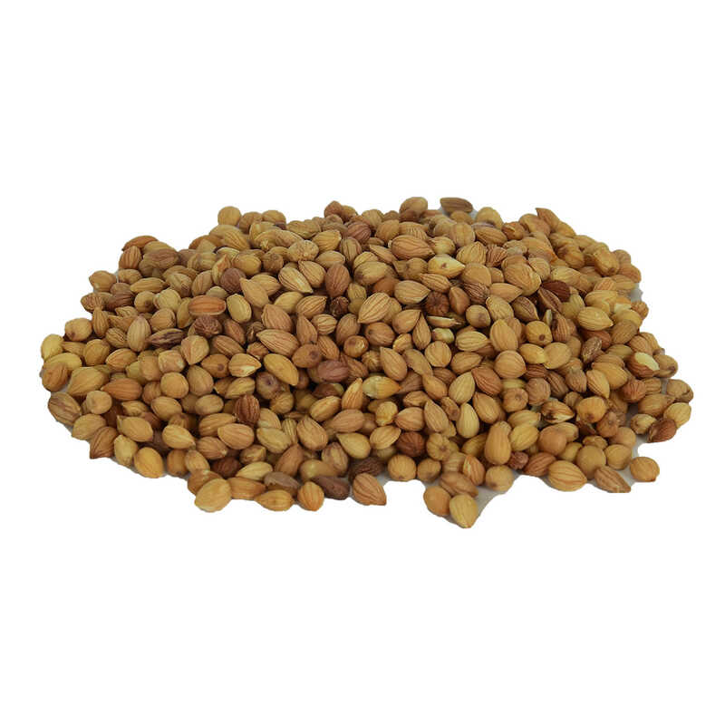 mahlep-dogal-tane-100-gr-paket-lokmanavm-31164-10-b.jpg Mahlep Doğal Tane 100 Gr Paket - Görsel 1
