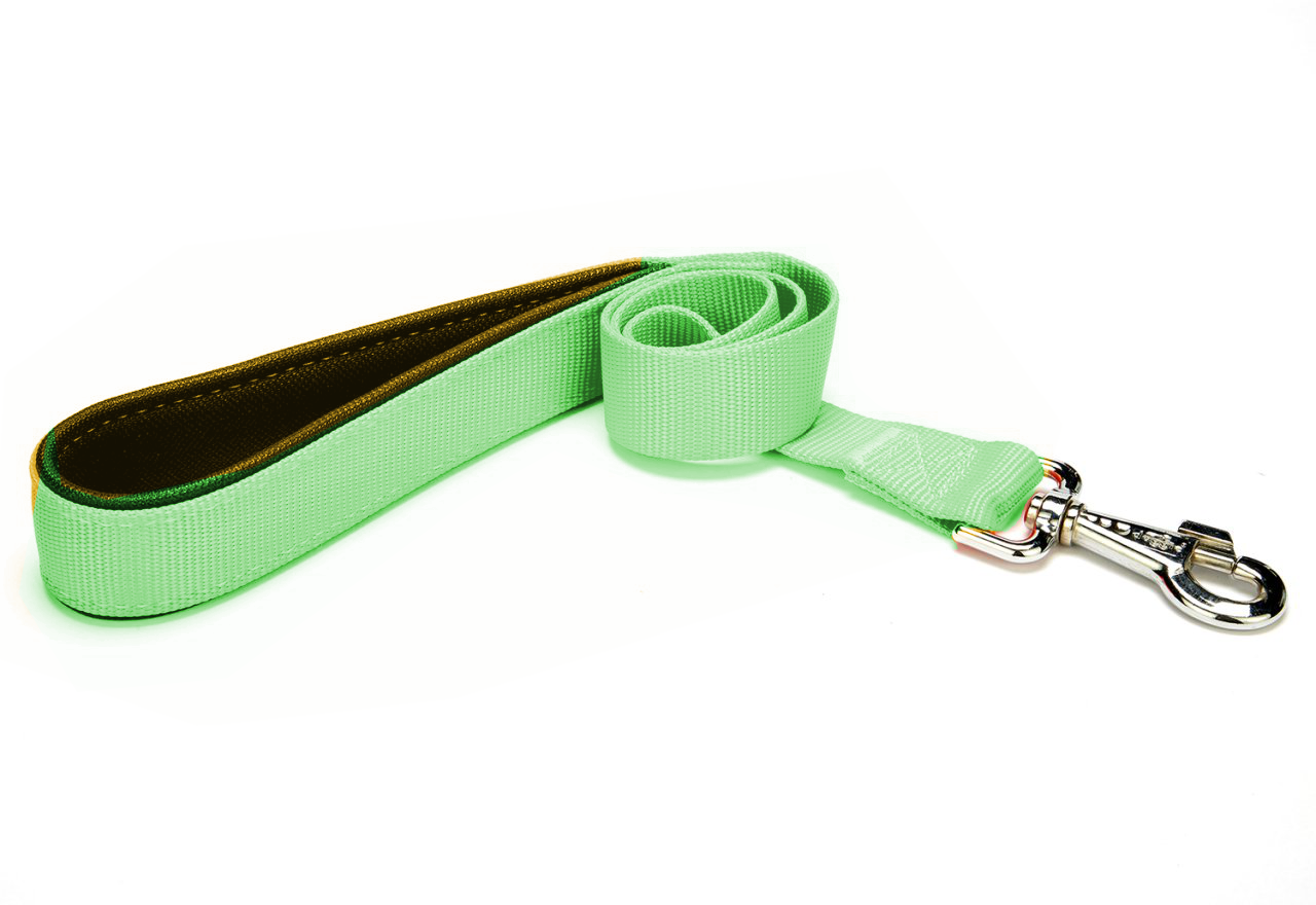 markapet-kopek-gezdirme-sevk-kayisi-sari-png1617740586-png1624368153.png Köpek Gezdirme Kayışı 2 cm x 115 cm Yeşil - Görsel 1