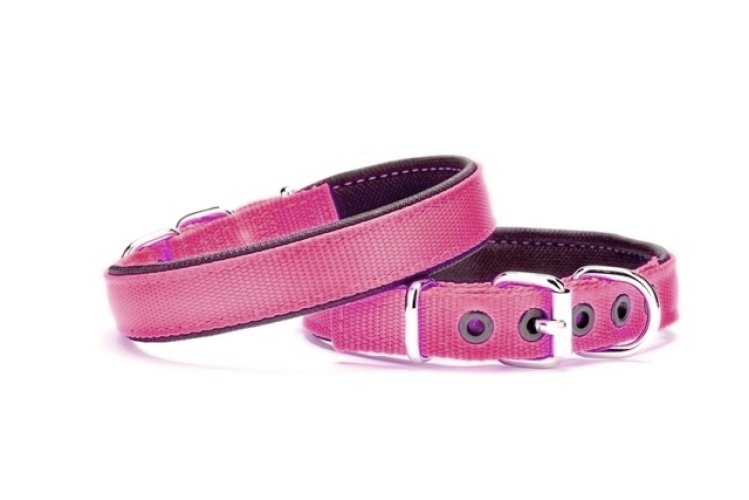 o-dsbt-2010-s-turuncu-jpg-jpg.jpg Yumuşak Doku Köpek Boyun Tasması 1,5/35 cm Pembe - Görsel 1